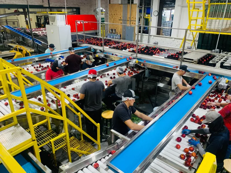 From the Loading Dock to Your Door: Fulfillment Workers Reveal the Secrets Behind Every Package You Order