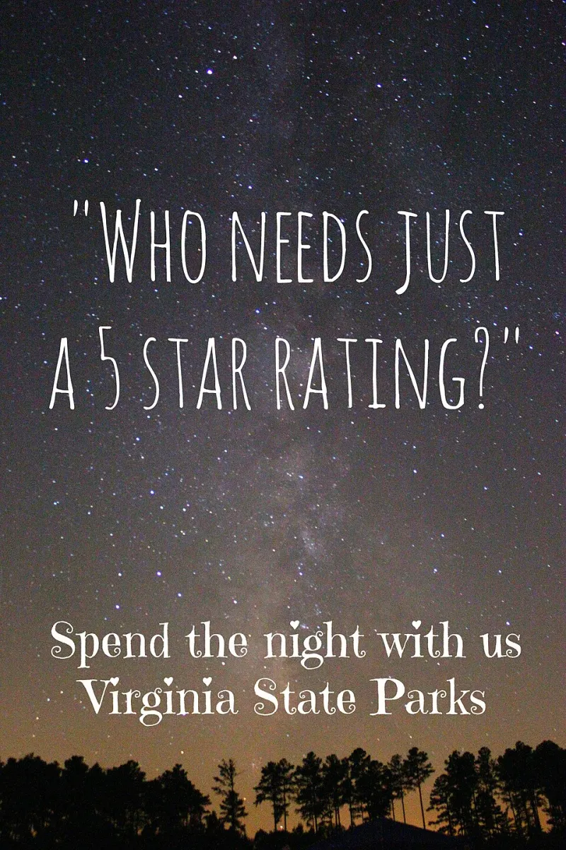 Read the Reviews, Doubt the Stars: A Shopper's Guide to Unmasking Fake Praise